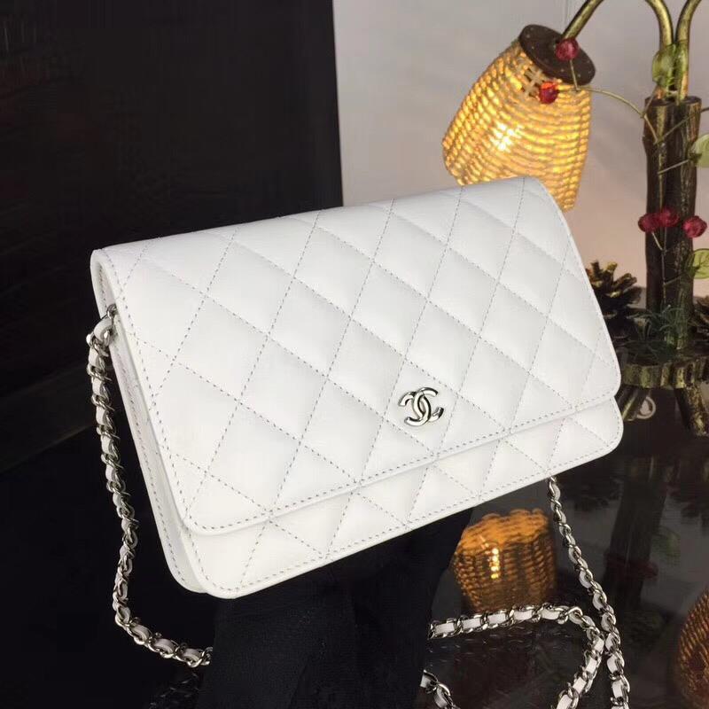 Chanel Handbags 239